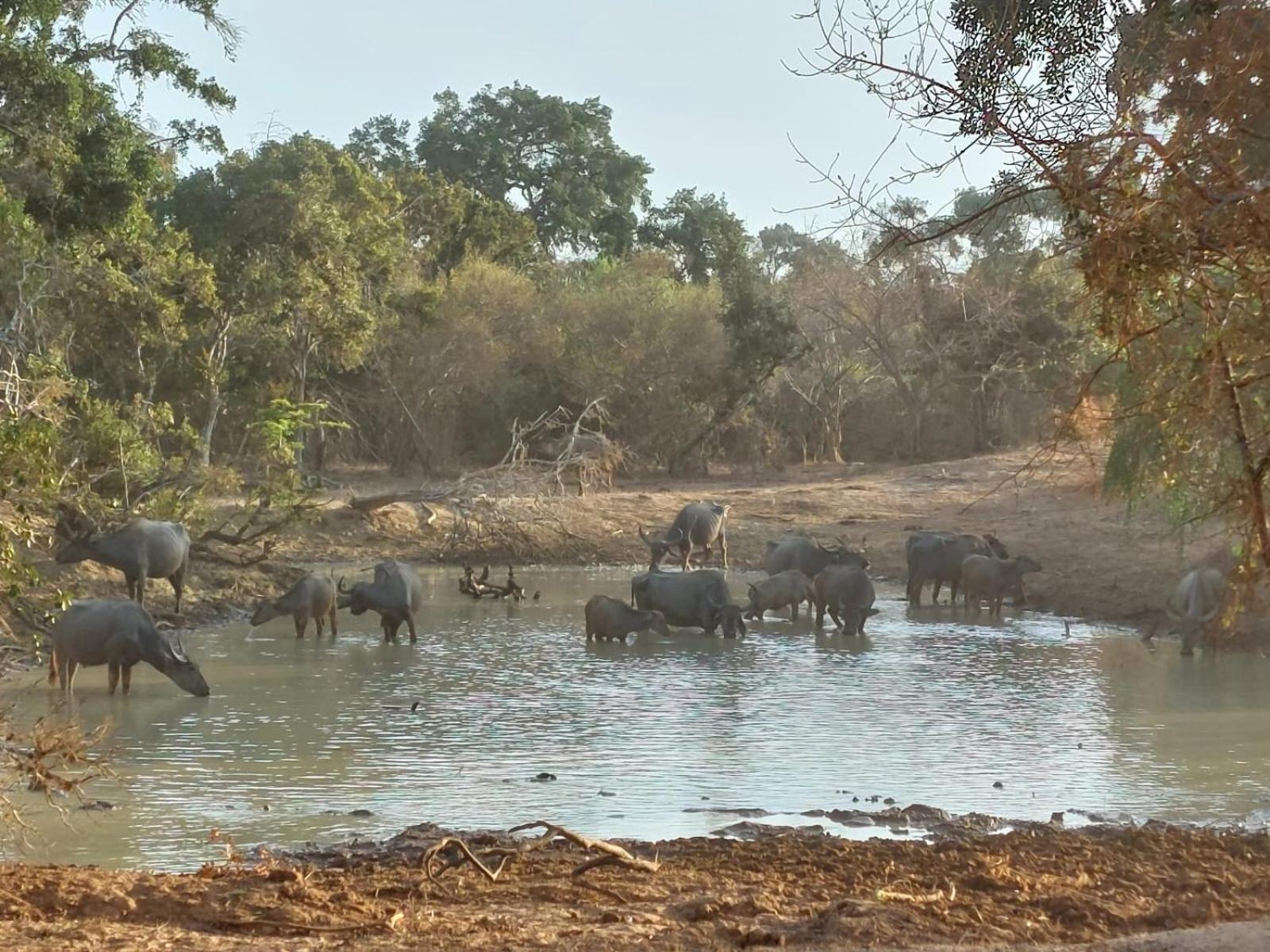 Suduweli Beauties Of Nature - Yala Kirinda  Exterior foto