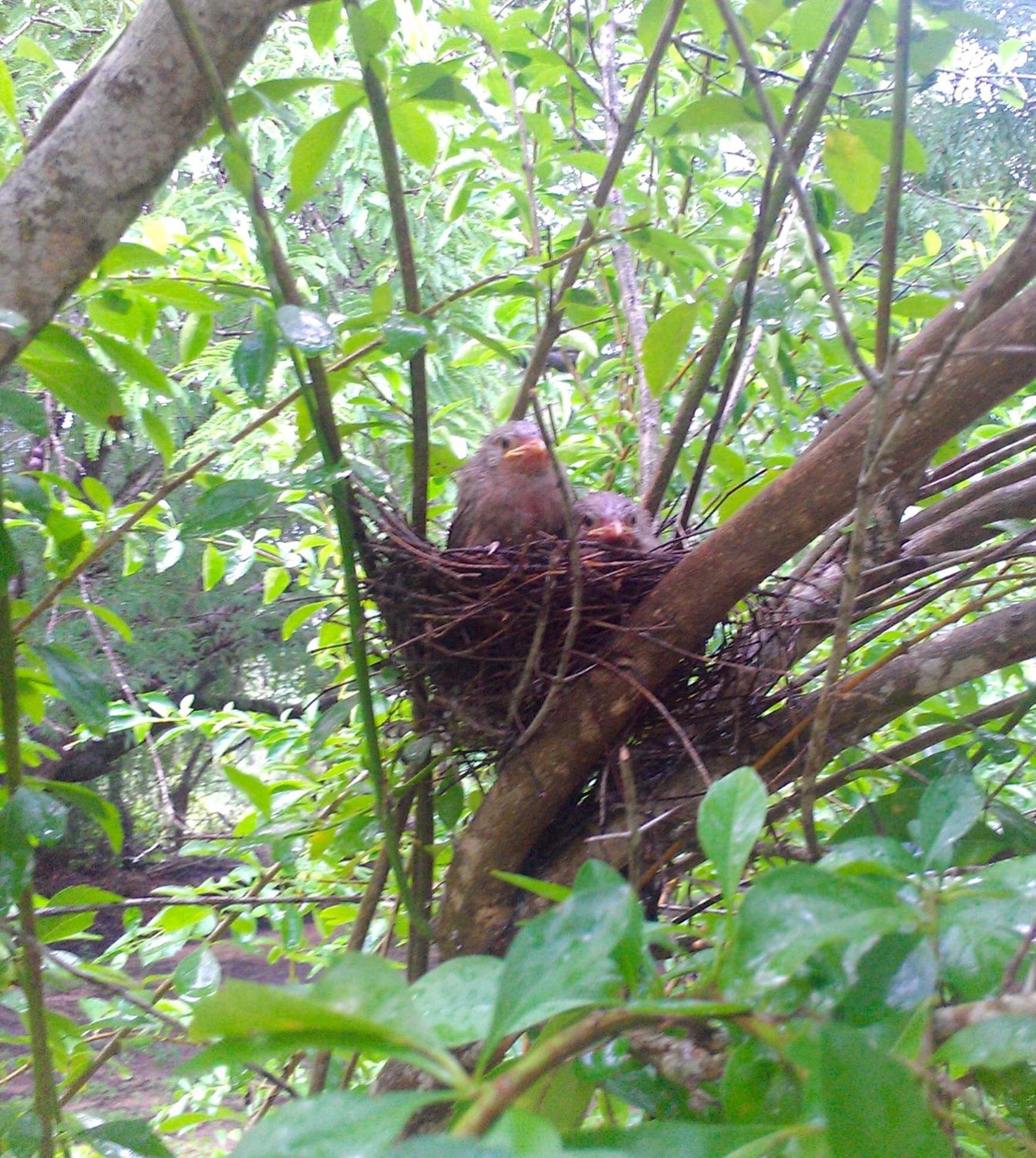 Suduweli Beauties Of Nature - Yala Kirinda  Exterior foto