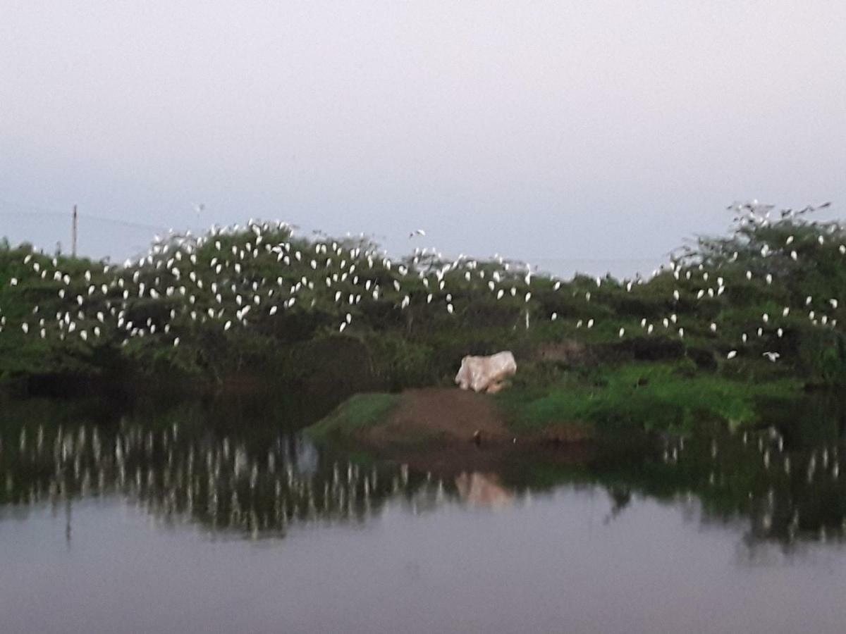 Suduweli Beauties Of Nature - Yala Kirinda  Exterior foto